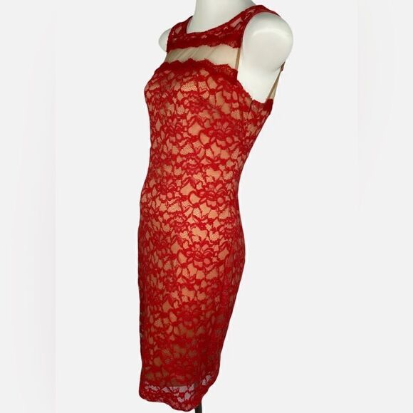 Bailey 44 Autumn Orange Red Rust Lace Mesh Cocktail Dress S - Picture 1 of 7